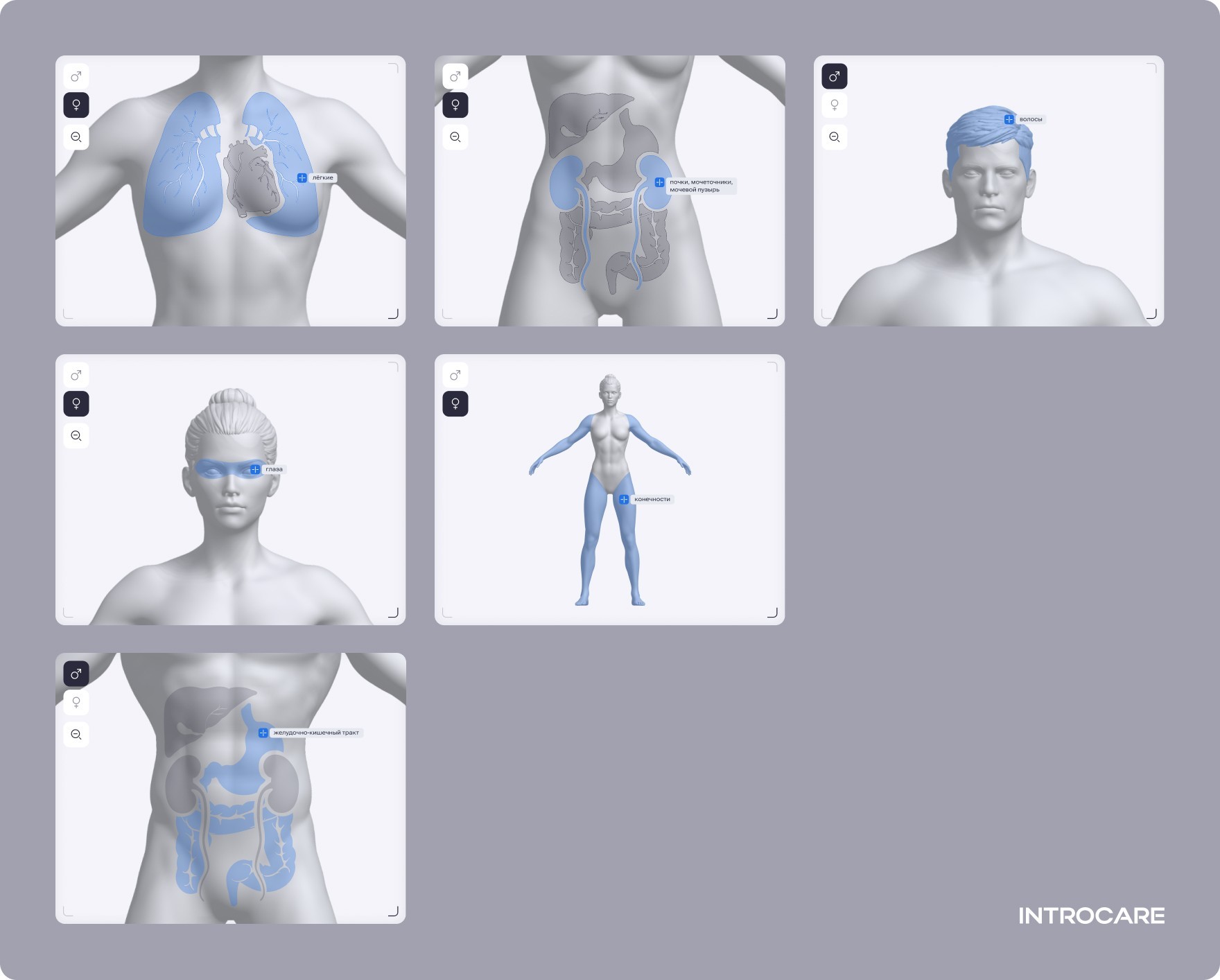 Фотография результата проекта - Introcare