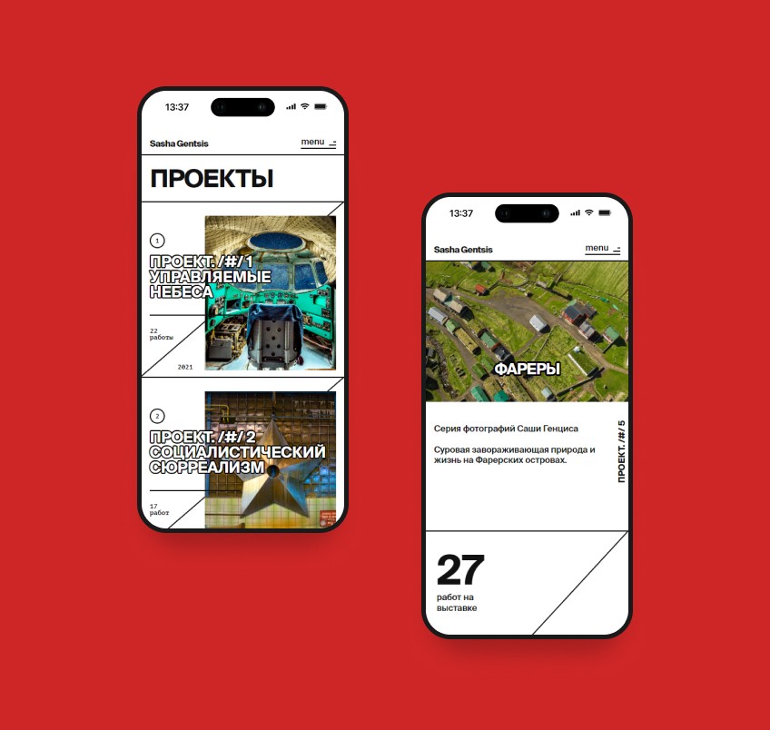 Фотография результата проекта - Sasha Gentsis
